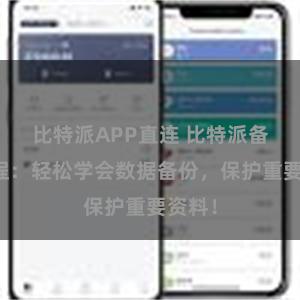 比特派APP直连 比特派备份教程：轻松学会数据备份，保护重要资料！