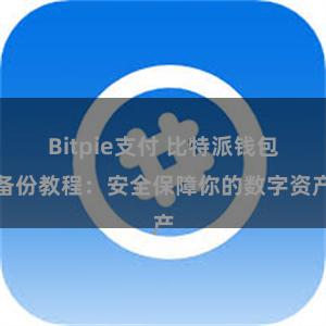 Bitpie支付 比特派钱包备份教程：安全保障你的数字资产