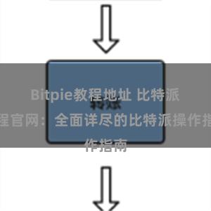 Bitpie教程地址 比特派教程官网:全面详尽的比特派操作指南