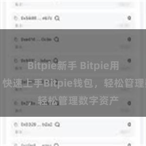 Bitpie新手 Bitpie用户指南：快速上手Bitpie钱包，轻松管理数字资产