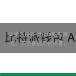 比特派恢复 Bitpie钱包直连，安全便捷无忧拥有。