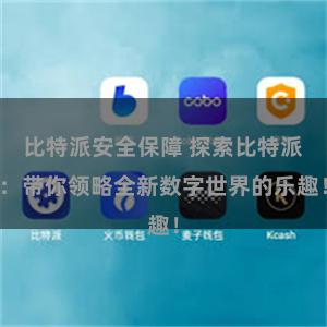 比特派安全保障 探索比特派：带你领略全新数字世界的乐趣！