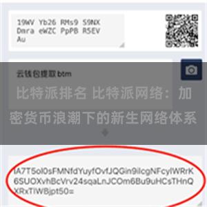 比特派排名 比特派网络：加密货币浪潮下的新生网络体系