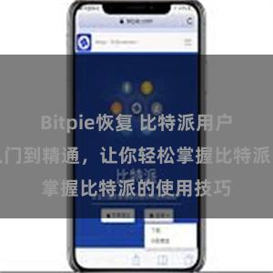 Bitpie恢复 比特派用户教程：从入门到精通，让你轻松掌握比特派的使用技巧