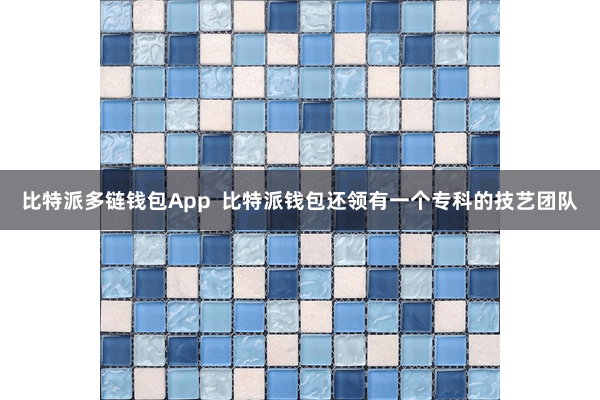 比特派多链钱包App  比特派钱包还领有一个专科的技艺团队