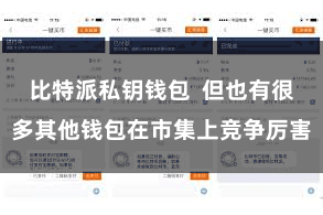 比特派私钥钱包  但也有很多其他钱包在市集上竞争厉害