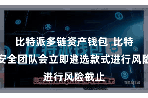 比特派多链资产钱包  比特派的安全团队会立即遴选款式进行风险截止