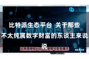 比特派生态平台  关于那些不太纯属数字财富的东谈主来说