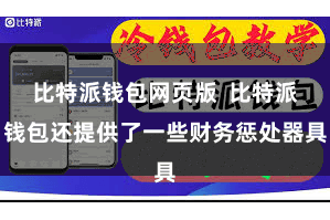 比特派钱包网页版  比特派钱包还提供了一些财务惩处器具