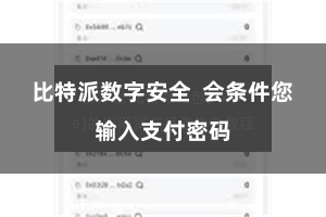 比特派数字安全  会条件您输入支付密码