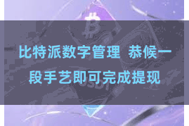 比特派数字管理  恭候一段手艺即可完成提现