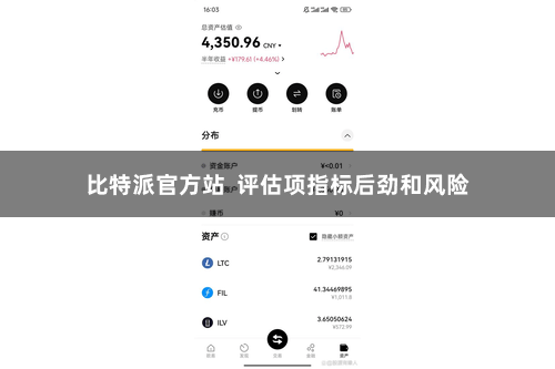 比特派官方站  评估项指标后劲和风险