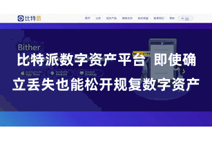 比特派数字资产平台  即使确立丢失也能松开规复数字资产