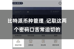 比特派币种管理  记取这两个密码口舌常迫切的