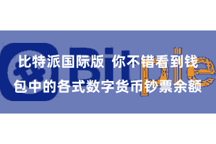 比特派国际版  你不错看到钱包中的各式数字货币钞票余额