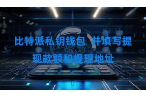 比特派私钥钱包  并填写提现款额和提现地址