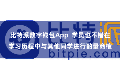 比特派数字钱包App  学员也不错在学习历程中与其他同学进行酌量商榷