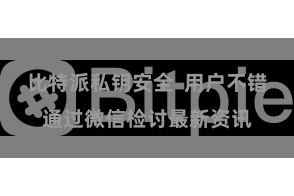 比特派私钥安全  用户不错通过微信检讨最新资讯