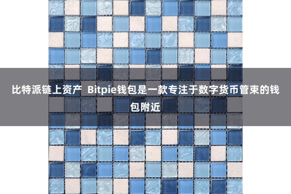比特派链上资产  Bitpie钱包是一款专注于数字货币管束的钱包附近