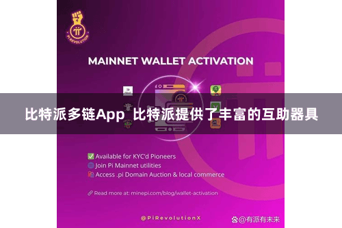 比特派多链App  比特派提供了丰富的互助器具