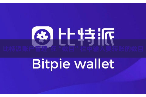 比特派账户管理  在“数目”栏中输入要转账的数目