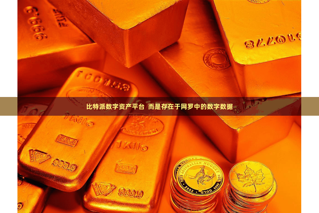 比特派数字资产平台  而是存在于网罗中的数字数据