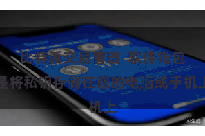 比特派交易管理  软件钱包是将私钥存储在您的电脑或手机上