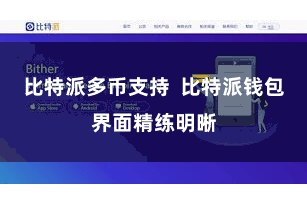 比特派多币支持  比特派钱包界面精练明晰