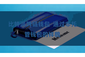 比特派跨链钱包  通过非托管钱包的样貌