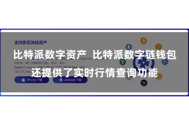 比特派数字资产  比特派数字链钱包还提供了实时行情查询功能