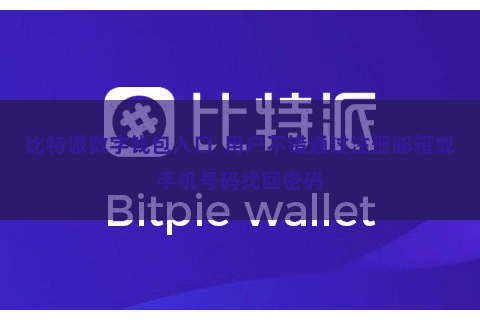 比特派数字钱包入口  用户不错通过注册邮箱或手机号码找回密码