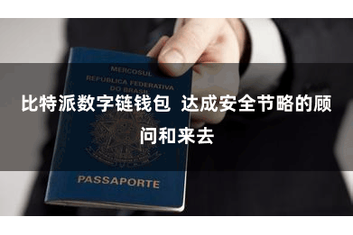 比特派数字链钱包  达成安全节略的顾问和来去